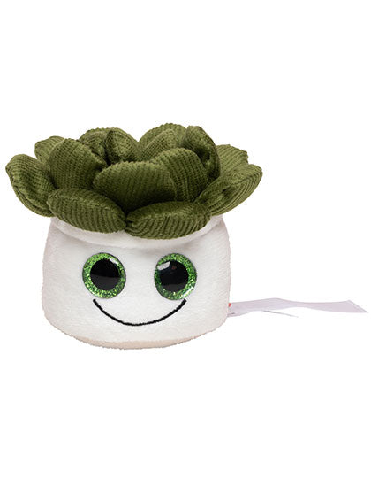 Schmoozies® Evergreenies® Sukkulente in Multicolour, Größe 7 cm