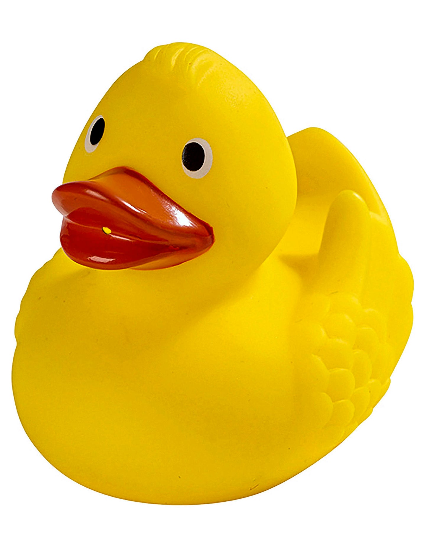 Schnabels® Renn-Ente mit Metallplatte