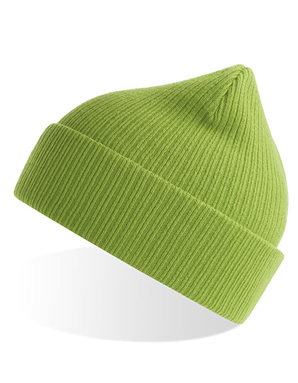 Nelson Beanie in Leaf Green, Größe One Size