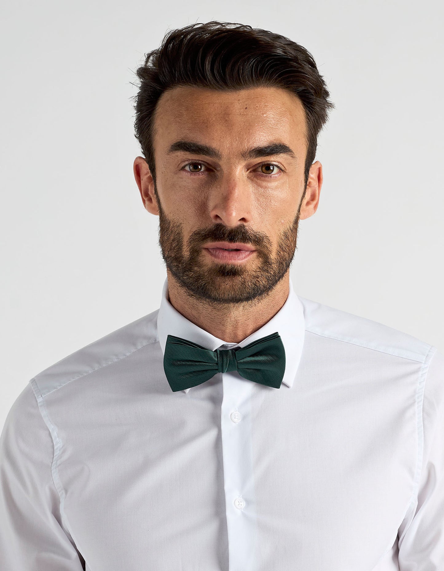 Bow Tie Turia