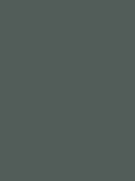 Polyneon 40 Green (5.000 m)