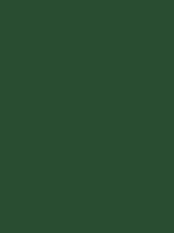 Polyneon 40 Green (5.000 m)