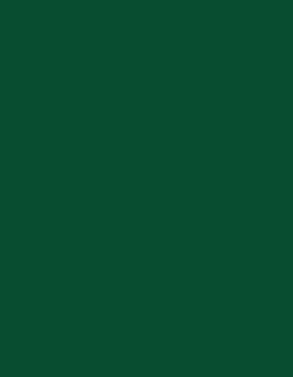 Polyneon 40 (1.000 m)