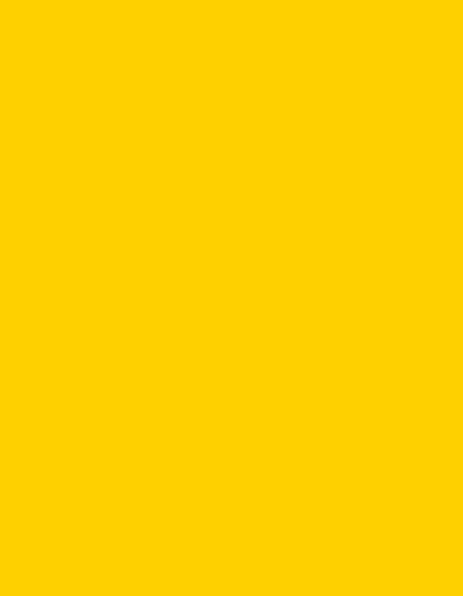 Polyneon 40 (1.000 m) in 1980 Yellow, Größe 1.000 m