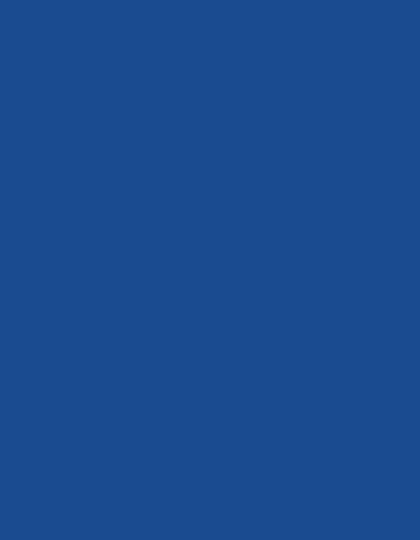 Frosted Matt No. 40 (2.500 m)