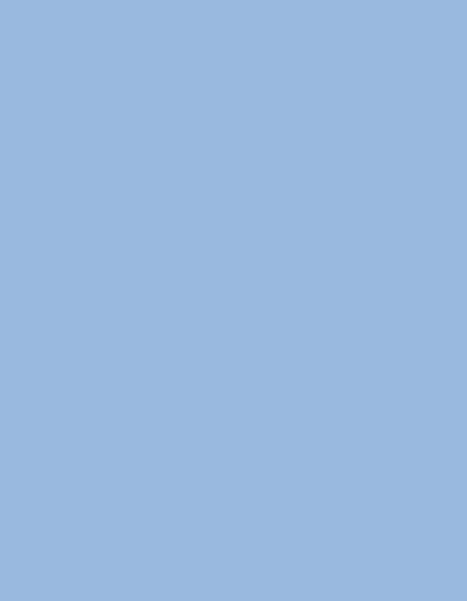 Frosted Matt No. 40 (2.500 m)