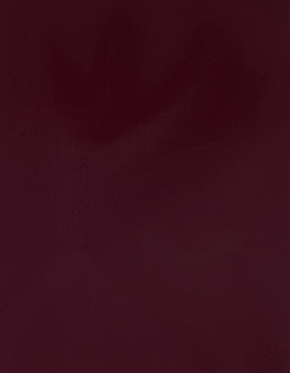 CAD-CUT® SportsFilm
