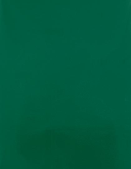 CAD-CUT® Silicone 100