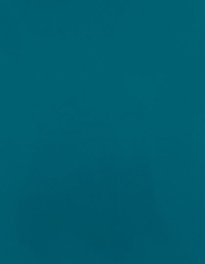 CAD-CUT® Silicone 100